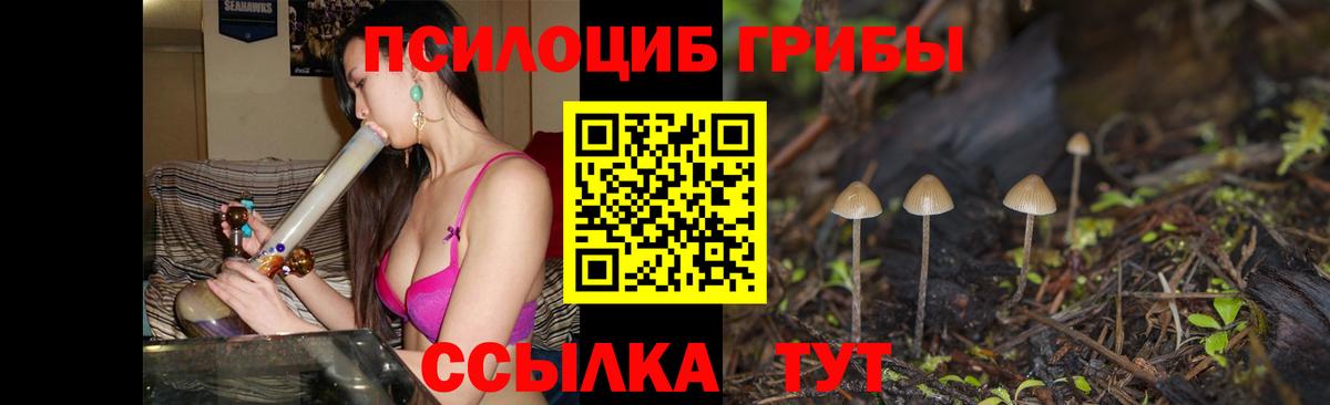 Псилоцибиновые грибы ЛСД  Вход с VPN  Псилоцибиновые грибы прущие грибы  наркота  Полысаево 